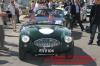 Austin Healey 100.jpg